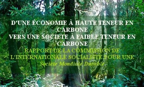 D'Une Économie à Haute Teneur en Carbone vers Une Societe à Faible Teneur en Carbone