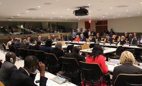 Réunion du Présidium de l’IS et Chefs d’État et de Gouvernement, Nations Unies, New York, 2019