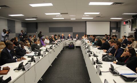 6e réunion annuelle du Présidium de l'IS et des chefs d'État et de gouvernement, Nations Unies, New York